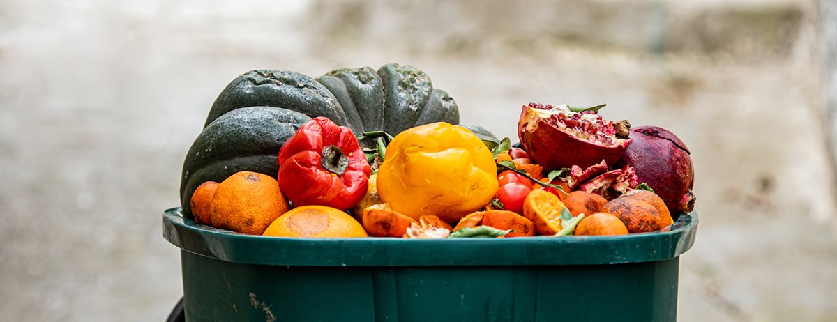 No Food Waste:  spašavanje hrane u svakodnevnici i putem volontiranja