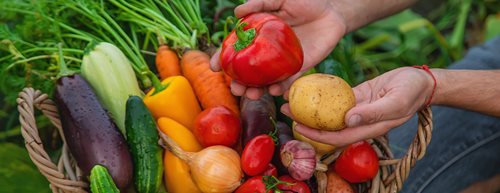 Bio namirnice: popularnost bio proizvoda je kod nas u porastu