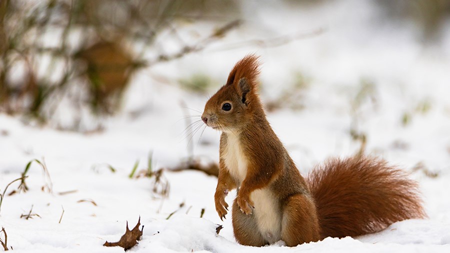 active beauty - časopis za zdravlje i ljepotu